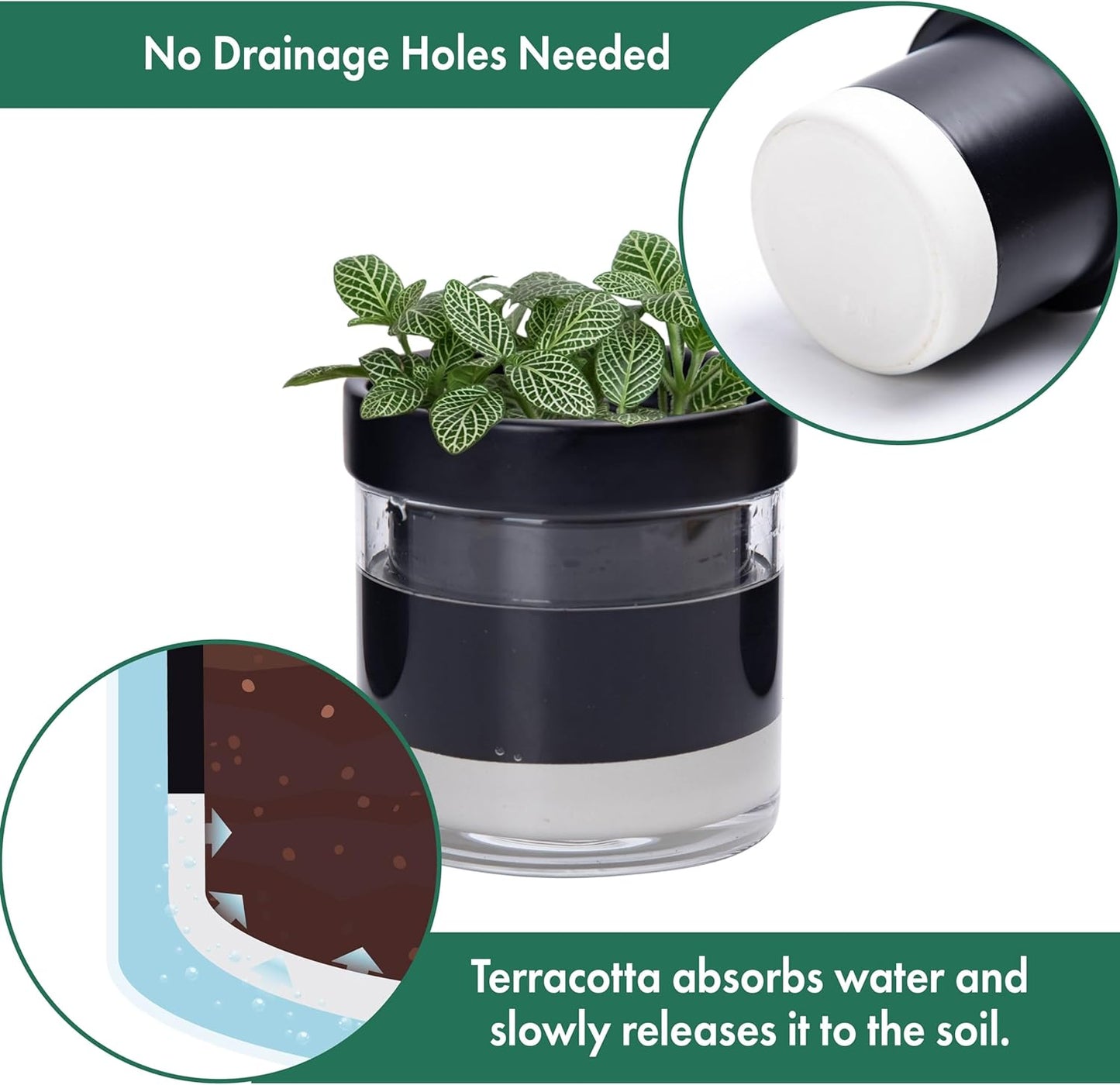 Phoenix Vine 4 Inch Self Watering Terracotta Planter, Black Terracotta Clay Pot with Glass Reservoir for Indoor Plants, Herbs, Flowers, Set of 1, 52-C-E-1