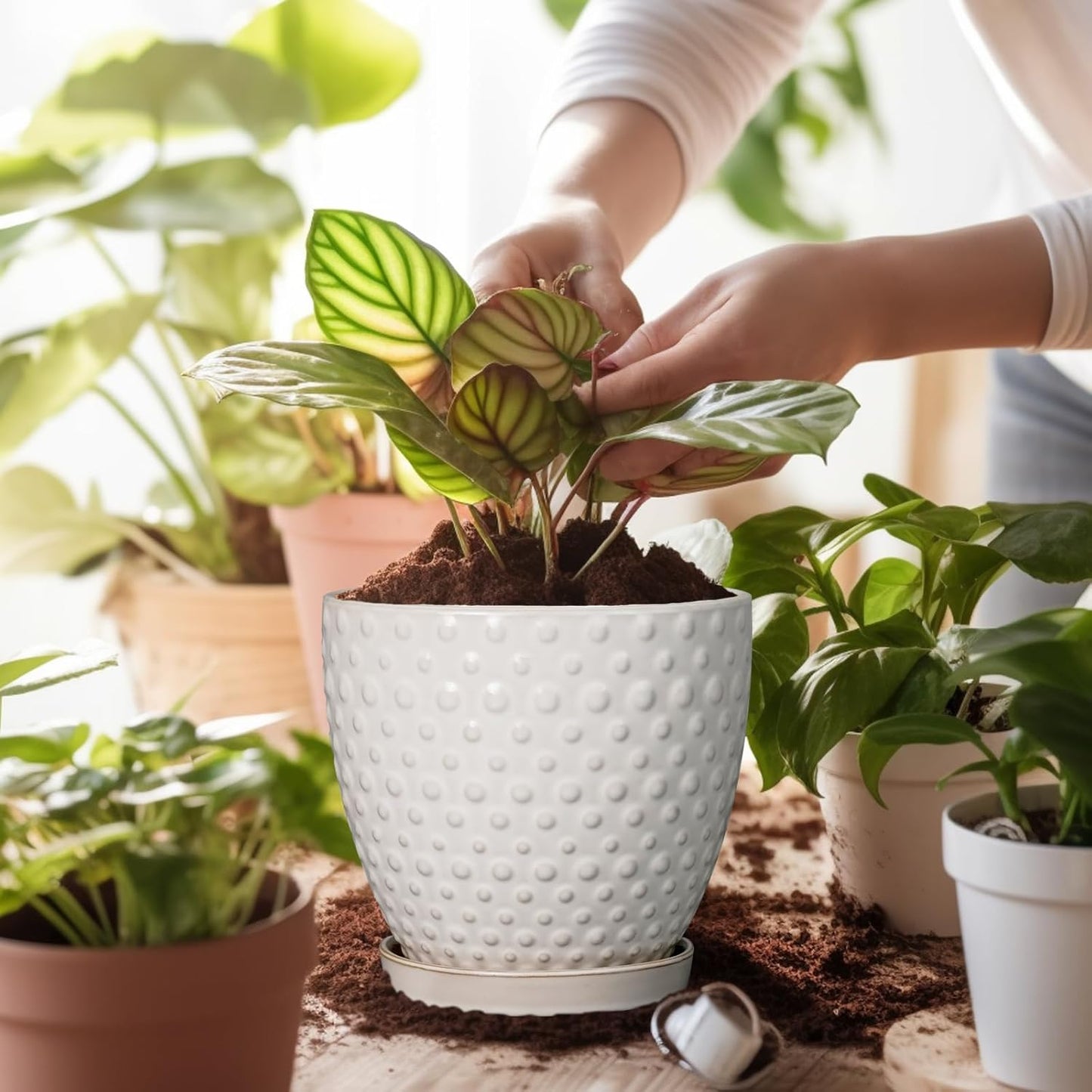 G EPGardening 6 Inch Ceramic Plant Pot with Drainage Hole and Saucer Round Planter Decorative Flower Plant Pot for Indoor Plants Outdoor White