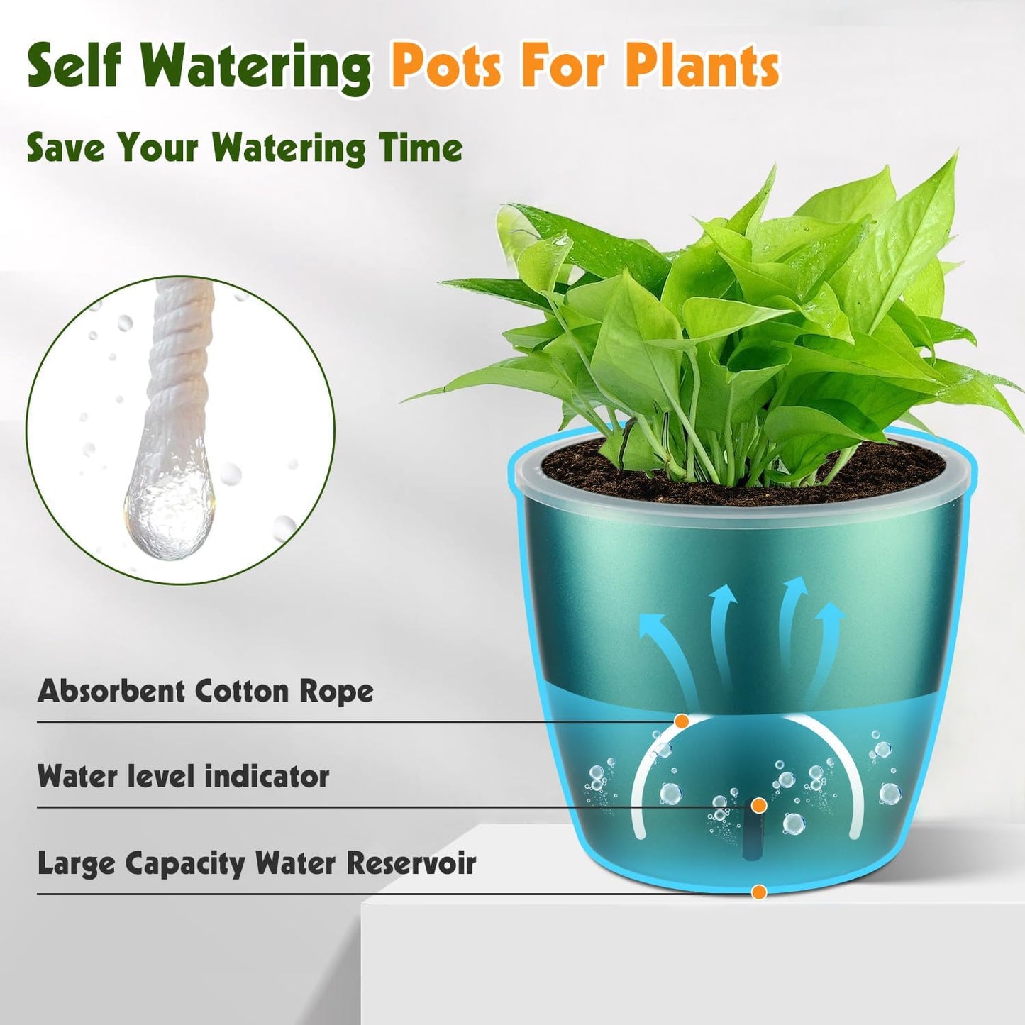 Self Watering Pots for Indoor Plants, 6-Pack 5'' Self Watering Planter with Drainage Holes, Small African Violet Pots with Water Indicator, Clear Wick Orchid Pot, Blue Gold