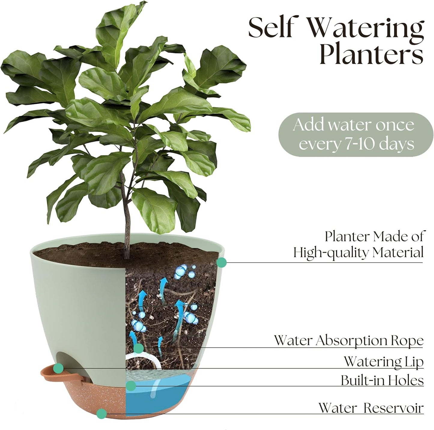Giraffe Creation Plant Pots Set of 3 (12/10/9 inch), Self-Watering Indoor & Outdoor Flower Planters with Drainage Hole and Reservoir, Green